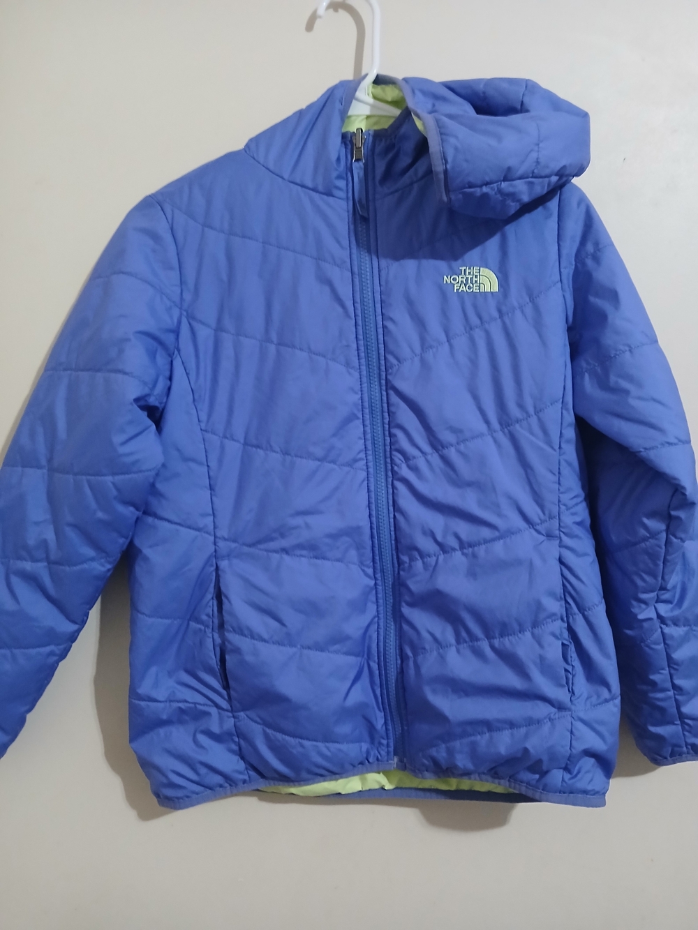 The North Face Kids' Blue Insulated Hooded Jacket